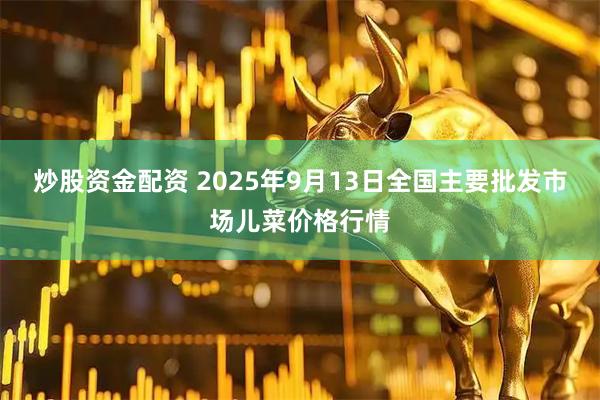 炒股资金配资 2025年9月13日全国主要批发市场儿菜价格行情