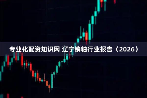 专业化配资知识网 辽宁销轴行业报告(2026)